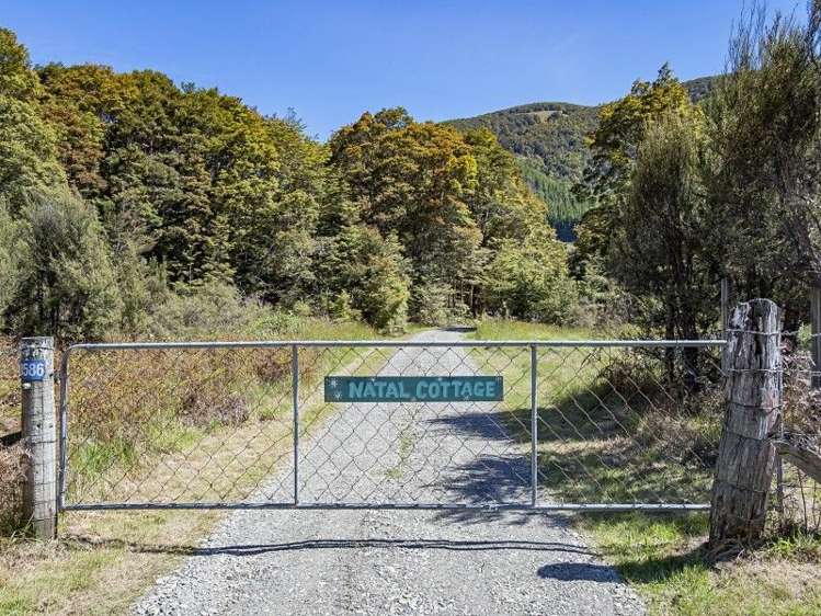 8586 Wairau Valley Highway St Arnaud_3