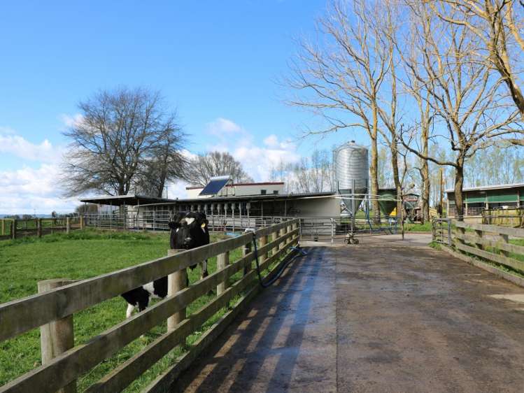 2237 Old Taupo Road Putaruru_9