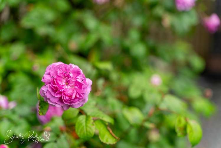 17 Oparakau Road Matakohe_45