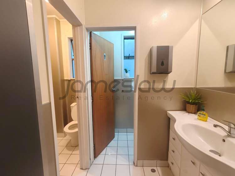 123 Manukau Road Epsom_15