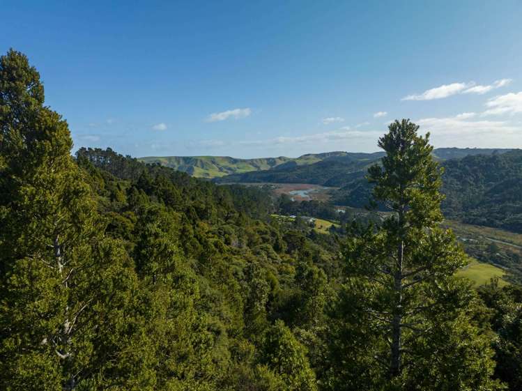 15 Te Aute Ridge Road Waitakere_15