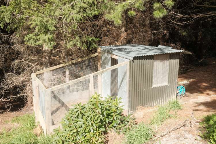 74 Mount Lyford Forest Drive Lyford_14