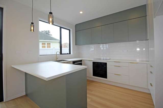 2B Sanda Road Panmure_2