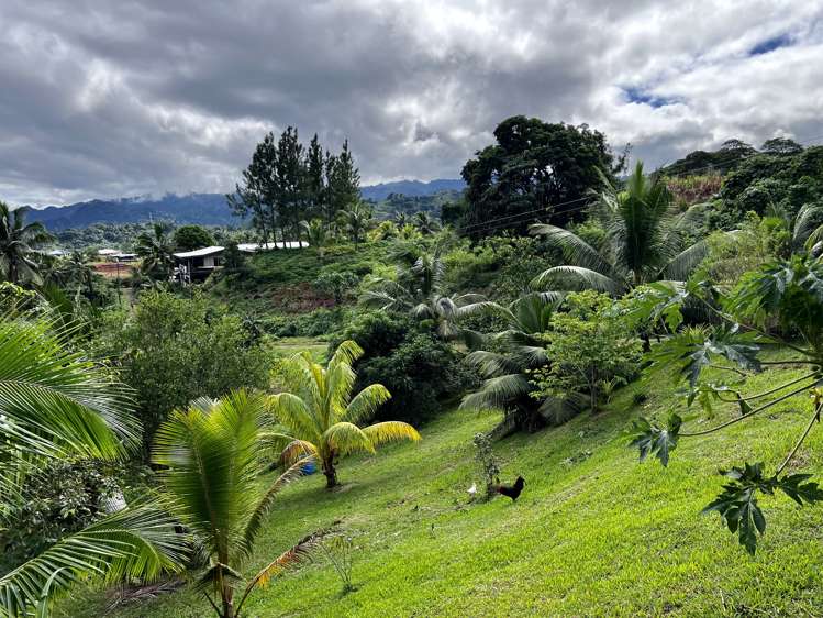 Lot 2 Naqere, Savusavu_16