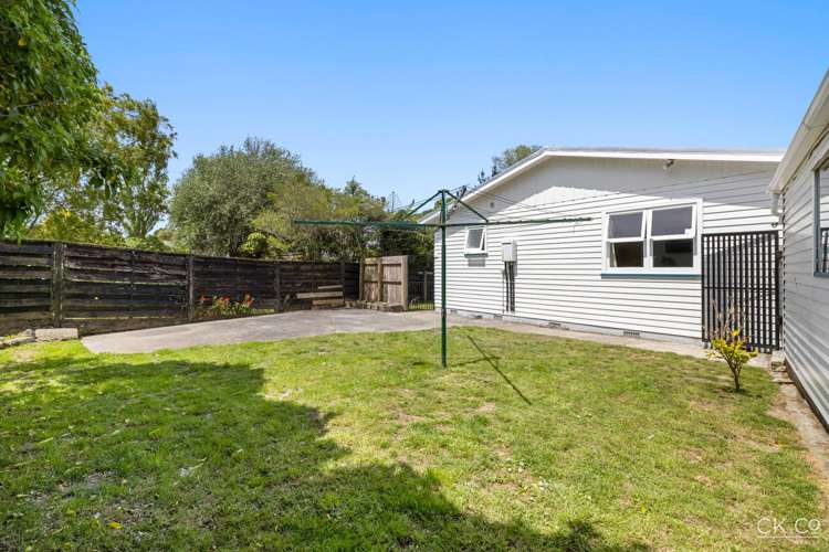 13 Kahikatea Lane Brown Owl_18