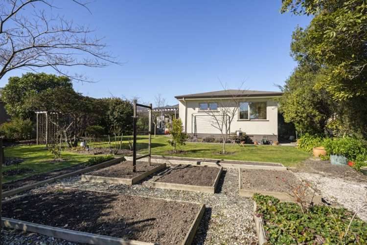 18 Reeves Street Stoke_21