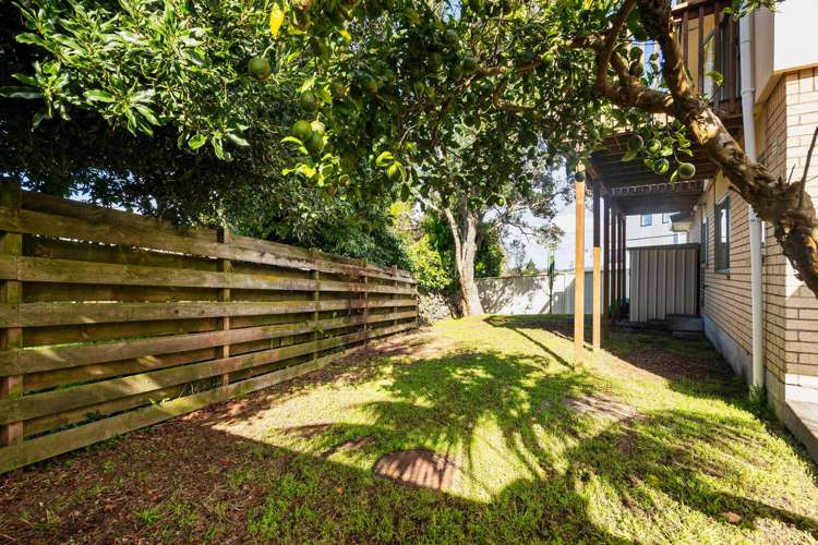 56A Mount Royal Avenue Mount Albert_24