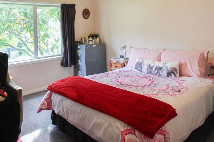 44 Durham Street Picton_9