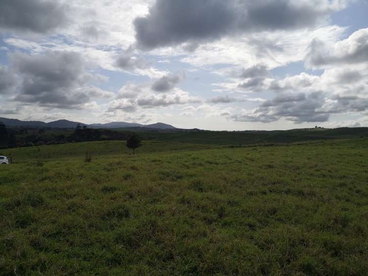 63 Hinamoki Drive Kaiwaka_5