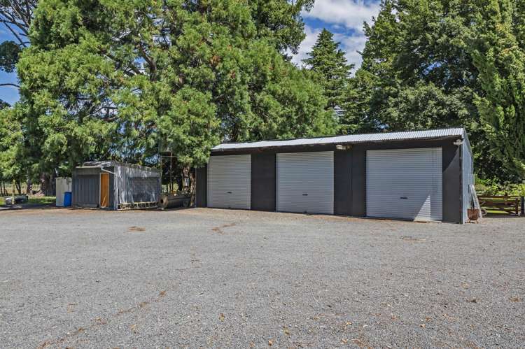 428 Kowai Road Springfield_24