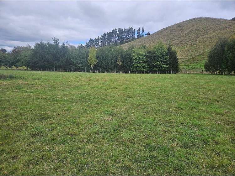 946F Finnis Road Pohangina_17