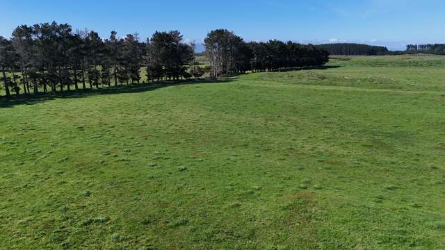 265 Paranui Road Foxton_3