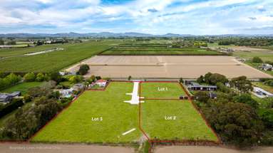 Lot Lot 1/240 Meeanee Road_1