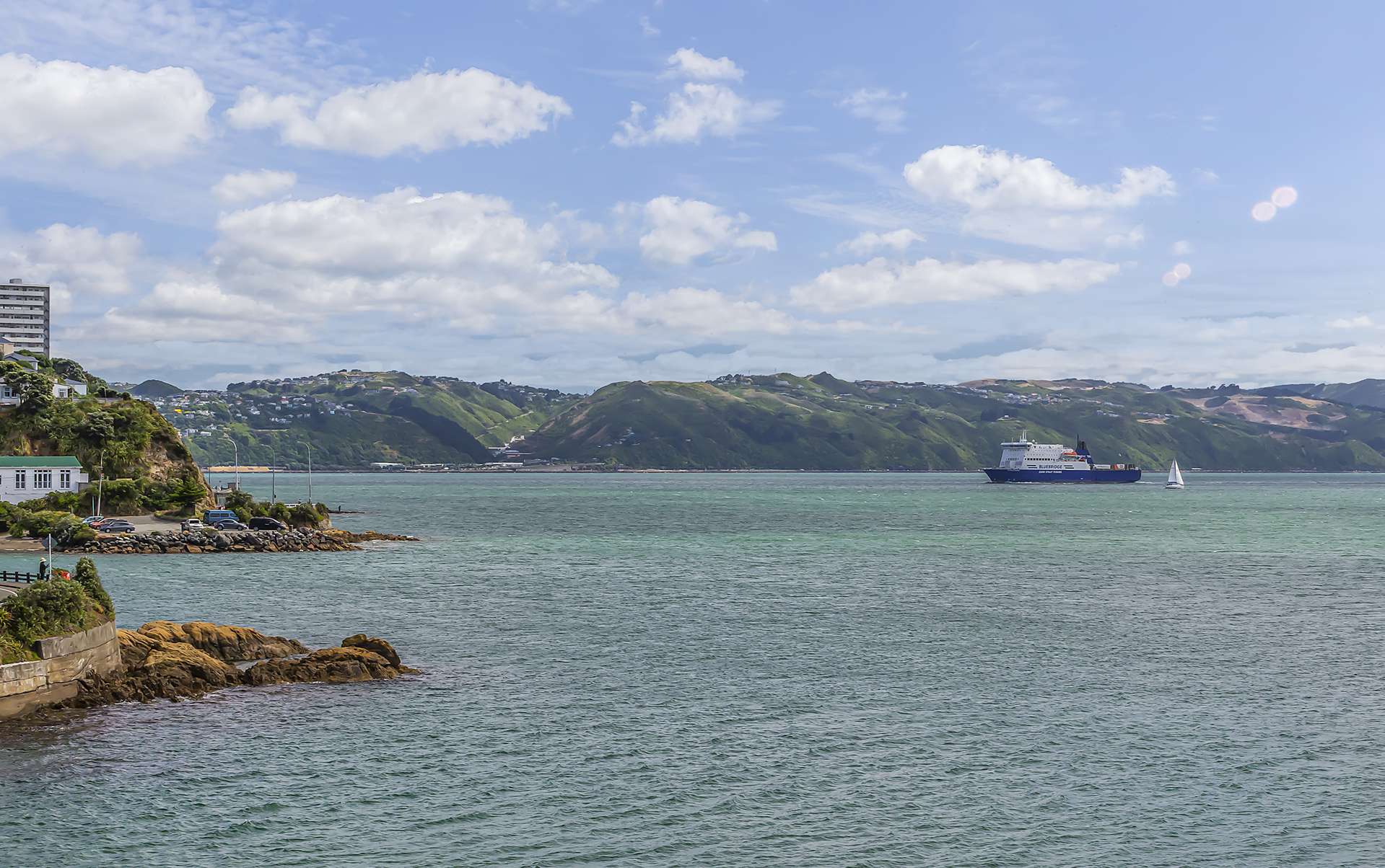 5/148 Evans Bay Parade Roseneath_0