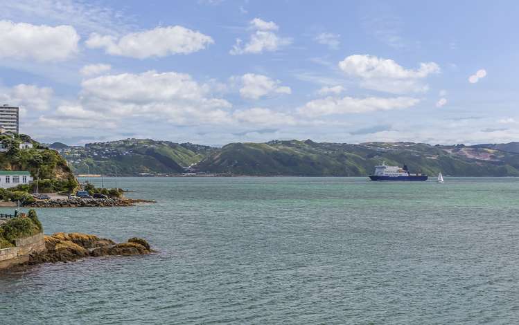 2/148 Evans Bay Parade Roseneath_21