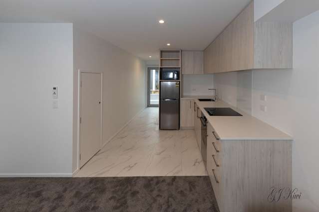17 Winchester Street Merivale_4