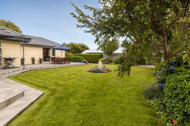 217 Taylor Pass Road Witherlea_26