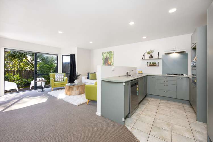 54 Palmgreen Court Stanmore Bay_5