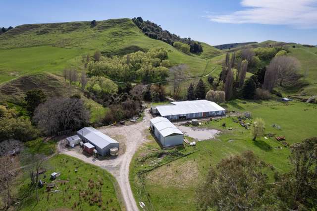 597 Weber Road Dannevirke_1