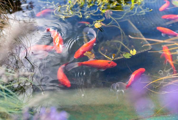 54 Raleigh Street Leamington_18