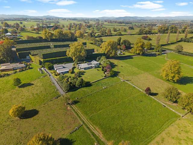 24 Brill Road Kihikihi_4