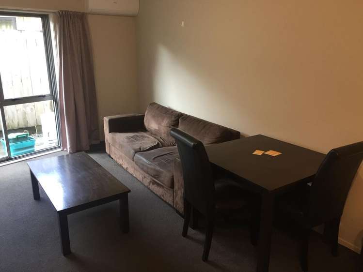 60C Willoughby Street Whitiora_4