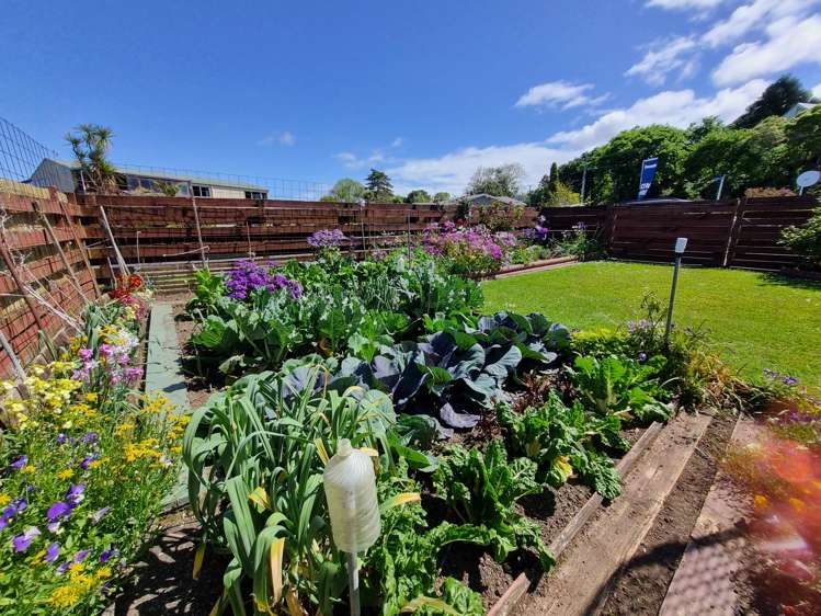 401 Parawai Road Thames_20