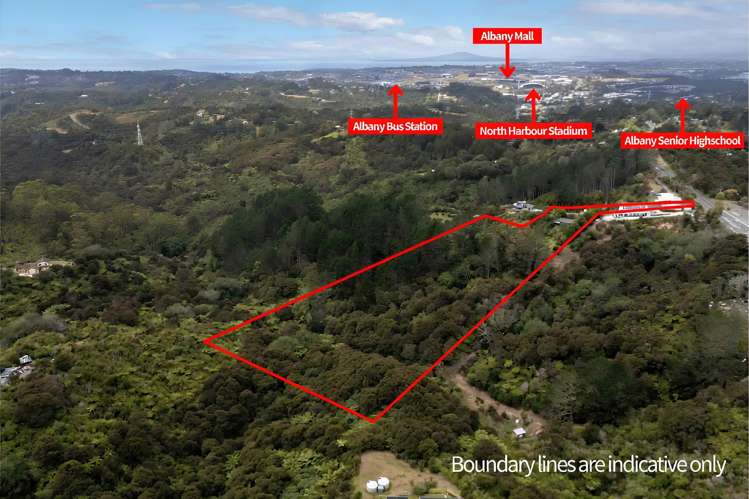 530 Dairy Flat Highway Albany Heights_3