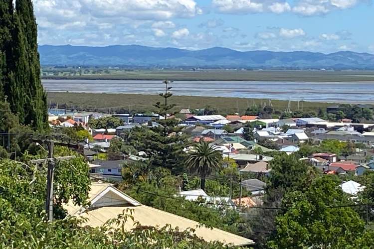 905 Sealey Street Thames_13