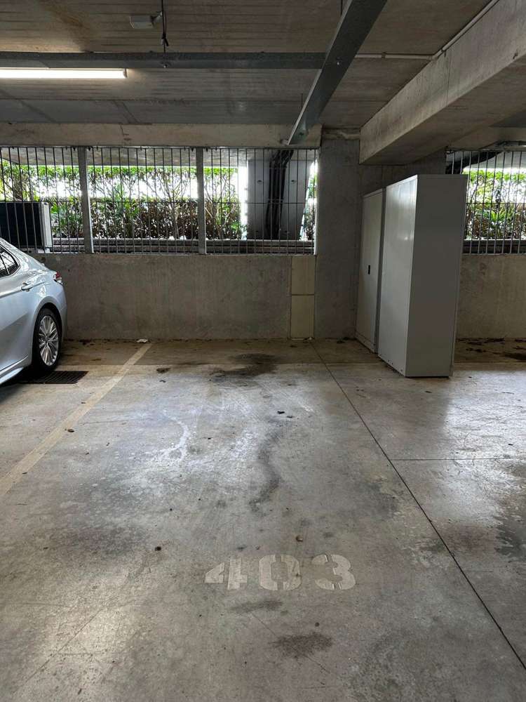 403 Murphys Road Flat Bush_10