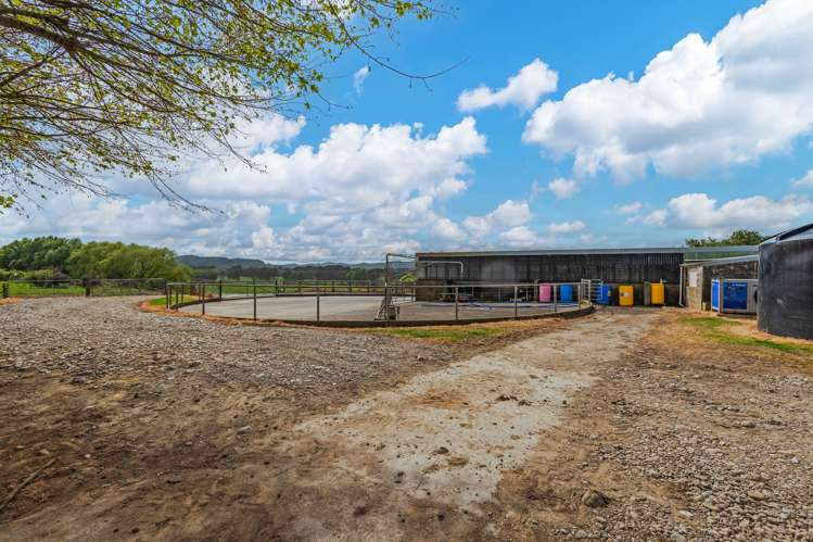 81127 State Highway 2 Pahiatua_9