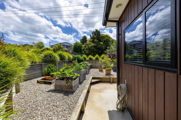 44 Cambrae Road Raglan_24