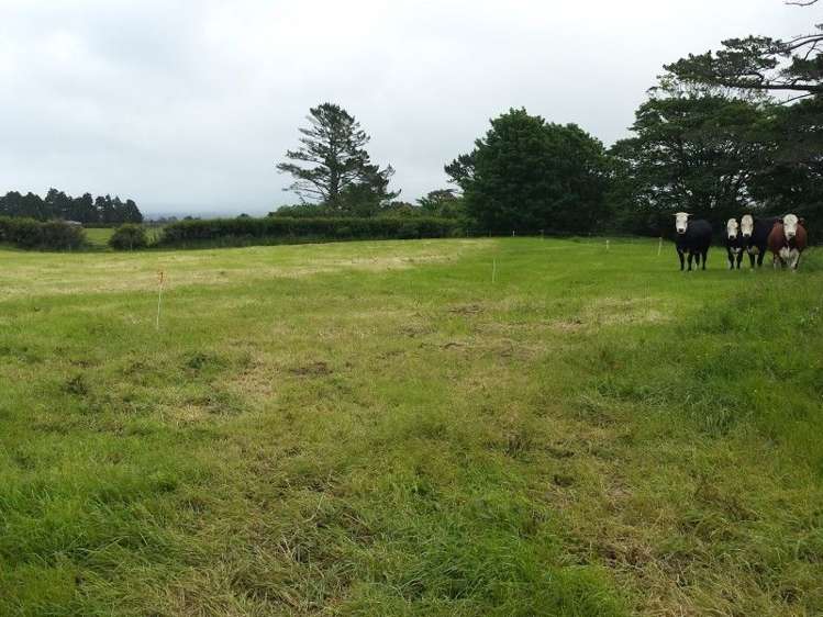 218 Dudley Road Inglewood_48