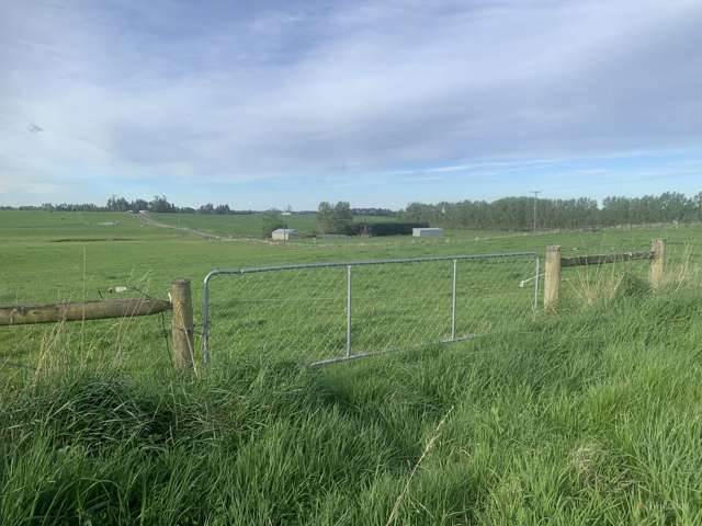 Whitneys Road Waimate_4