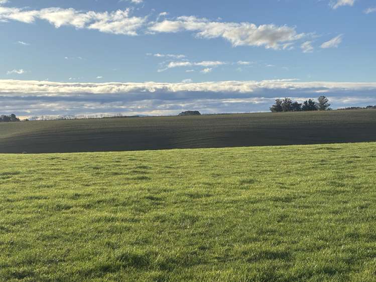 476 Hook School Road Makikihi_8