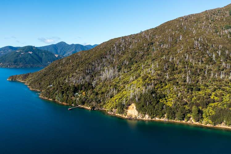 Lot 2 North West Bay Pelorus Sound_9