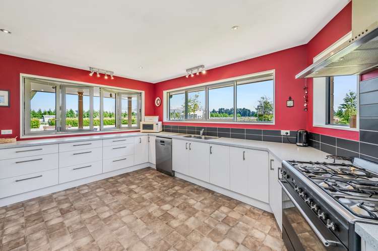 556 Frasers Road Springfield_6