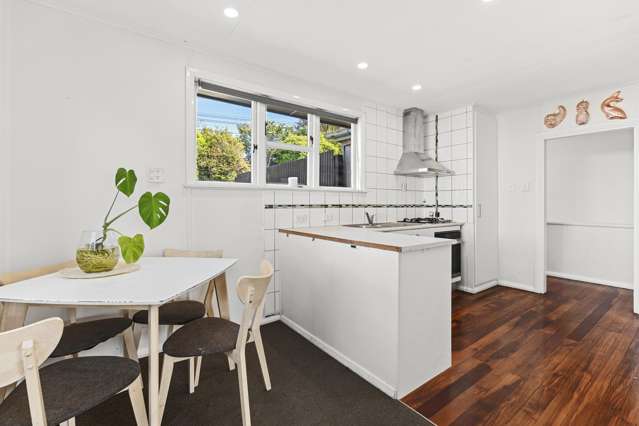 8 Parsons Street Vogeltown_1