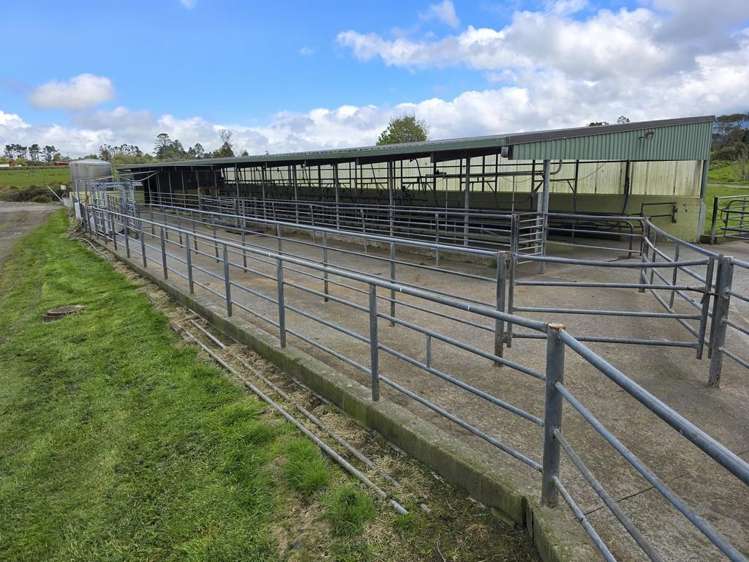 452 Surrey Road Rd 8_13