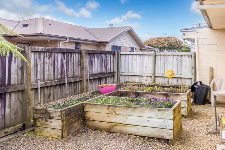 27b Maitland Street Frankton_14