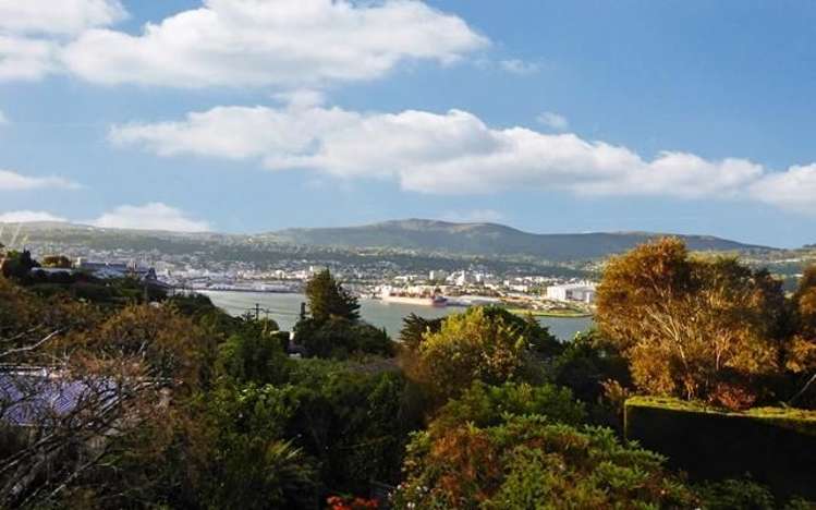 117 Doon Street Waverley_19