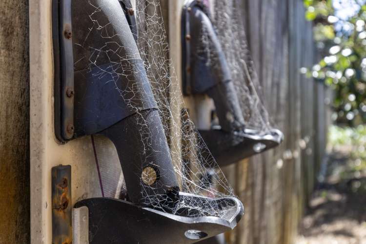 2 Kanawa Street Waikanae_29