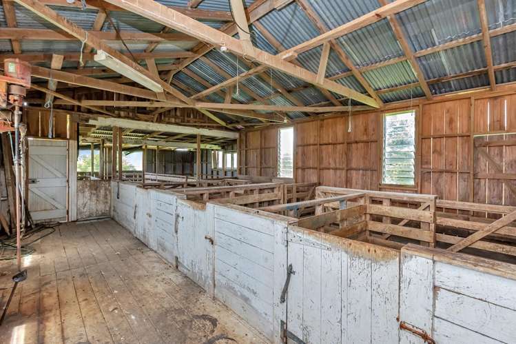 Pipiwai Road Purua_8