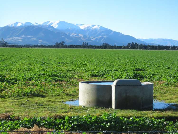 893 Tramway Road Mount Somers_2