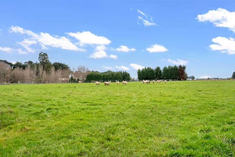 216 Ryal Bush Wallacetown Road Ryal Bush_33