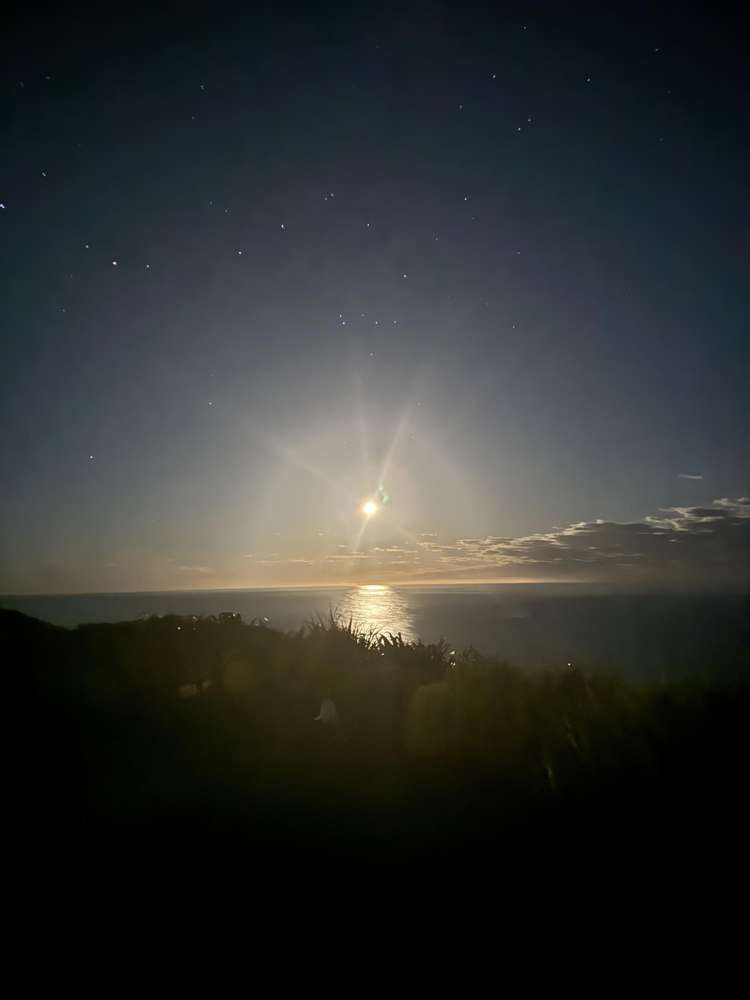 25 Highgrove Saint Clair_36