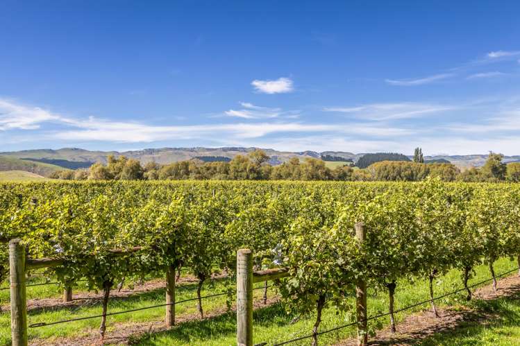 1114 Omihi Road Omihi_30