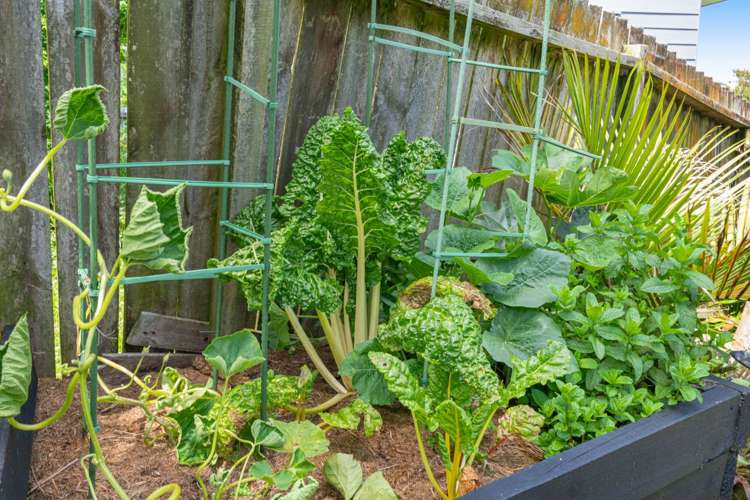 6a St James Avenue Helensville_33