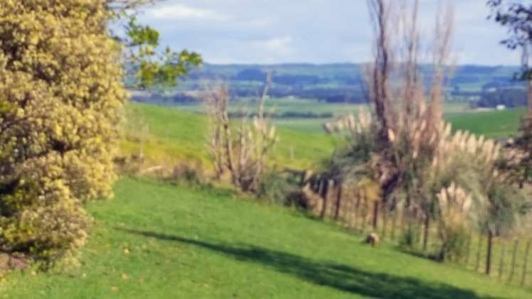 555 Rehia Road Ruawai_20