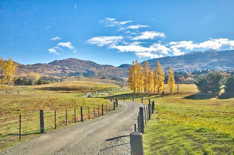 86 Fitzpatrick Road Dalefield_6